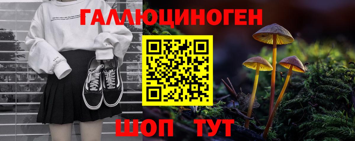 Наро-Фоминск  Галлюциногенные грибы MAGIC MUSHROOMS  Вход с VPN 