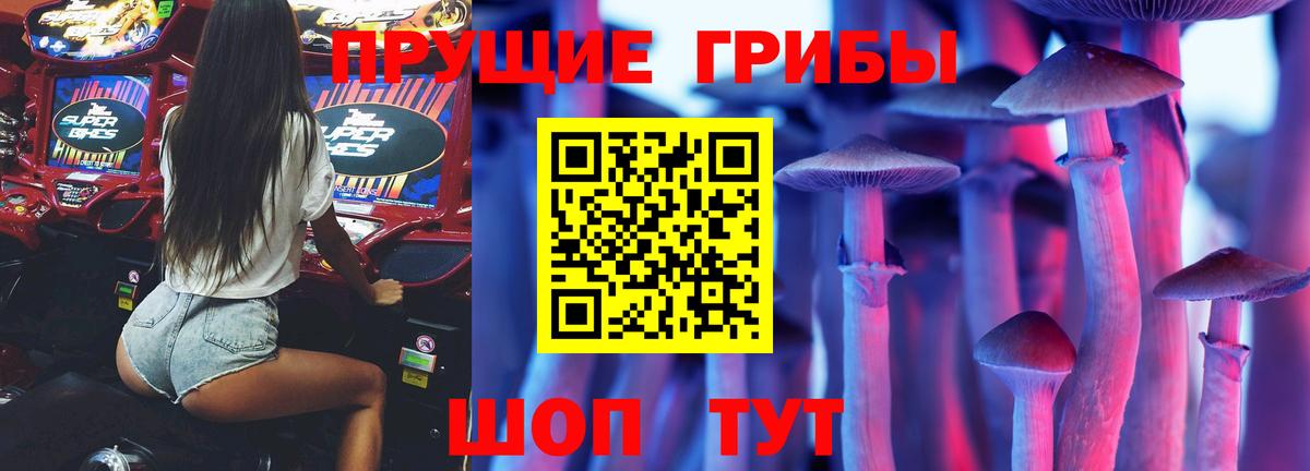 Галлюциногенные грибы Psilocybine cubensis Наро-Фоминск